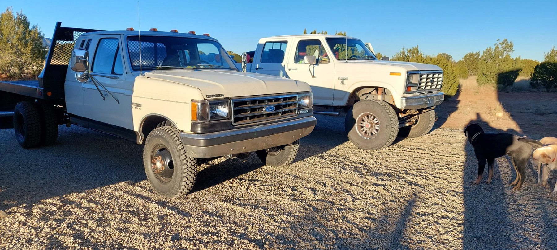 Custom classic Ford trucks