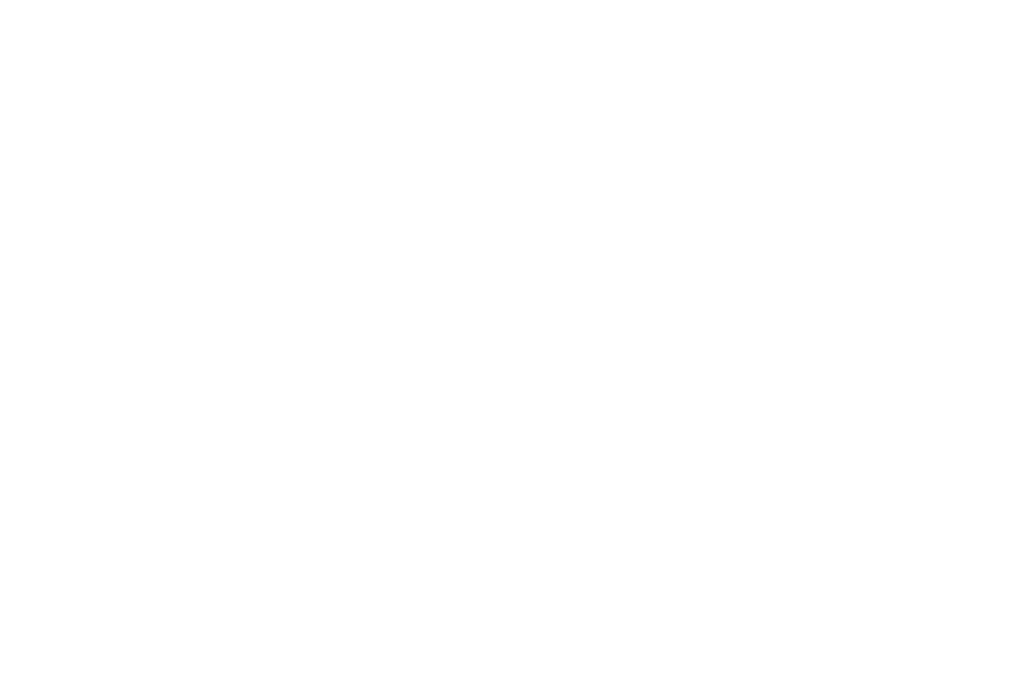 Alpine Off Road logo